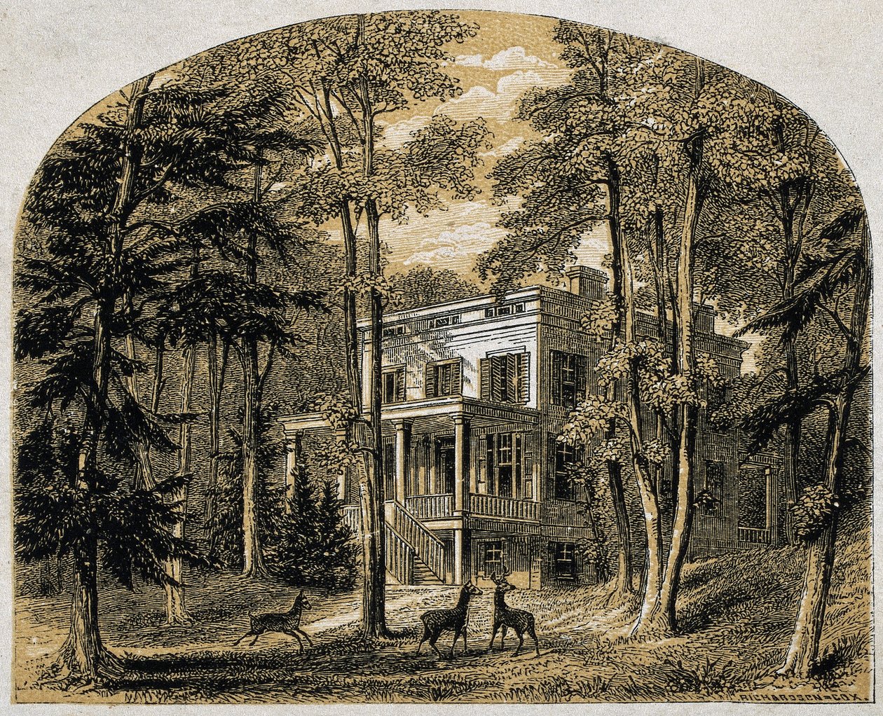 Casa de James John Audubon "Minniesland", pub. c. 1861 (grabado en madera) de William Rickarby Miller