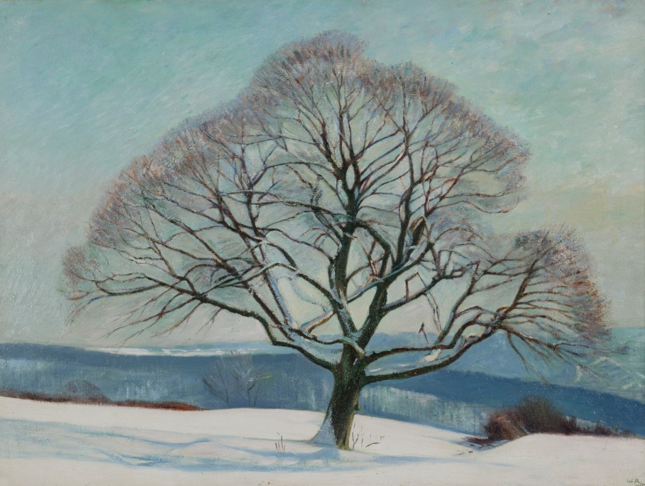 Árbol en invierno de William Rothenstein