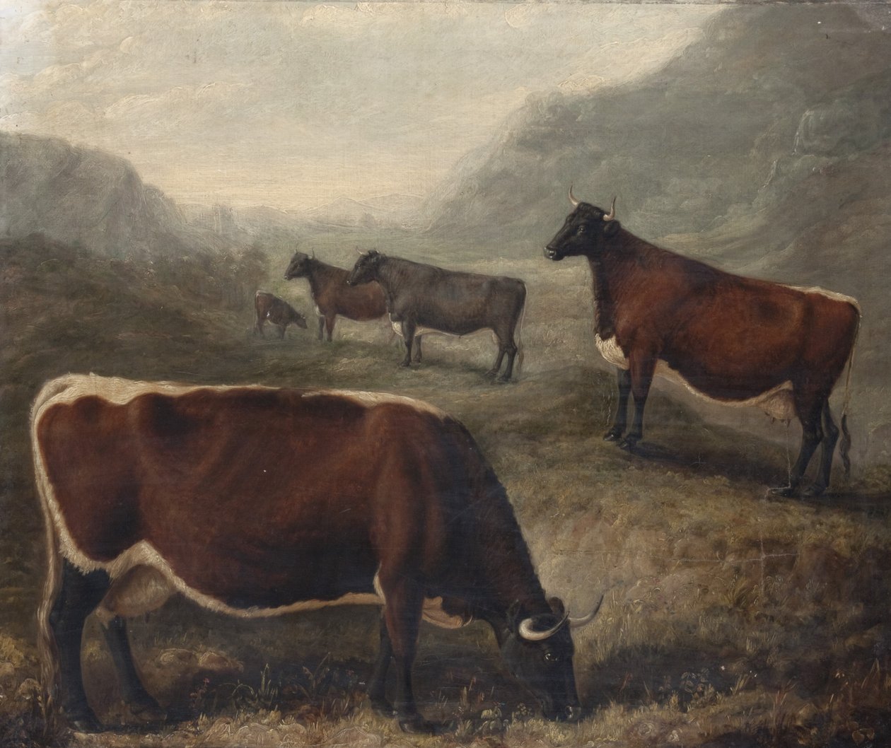  de William Shiels