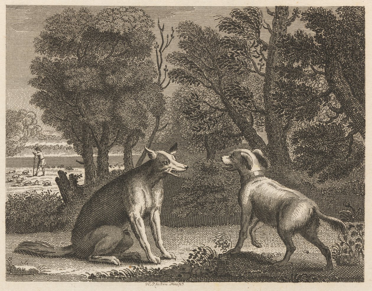 El perro pastor y el lobo de William Skelton