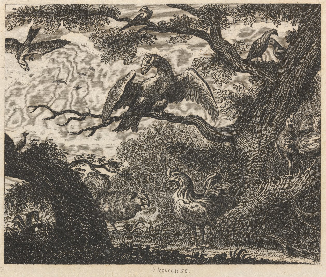 El buitre, el gorrión y otras aves de William Skelton