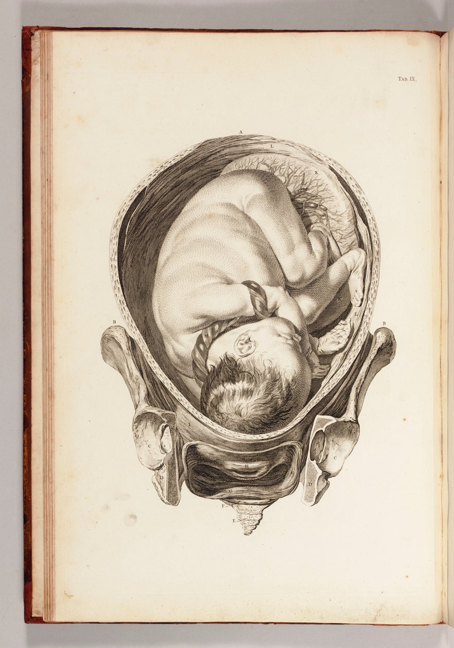 Grabado de un Niño en el Útero de "A Set of Anatomical Tables, with Explanations, and an Abridgement, of the Practice of Midwifery", 1754 de William Smellie