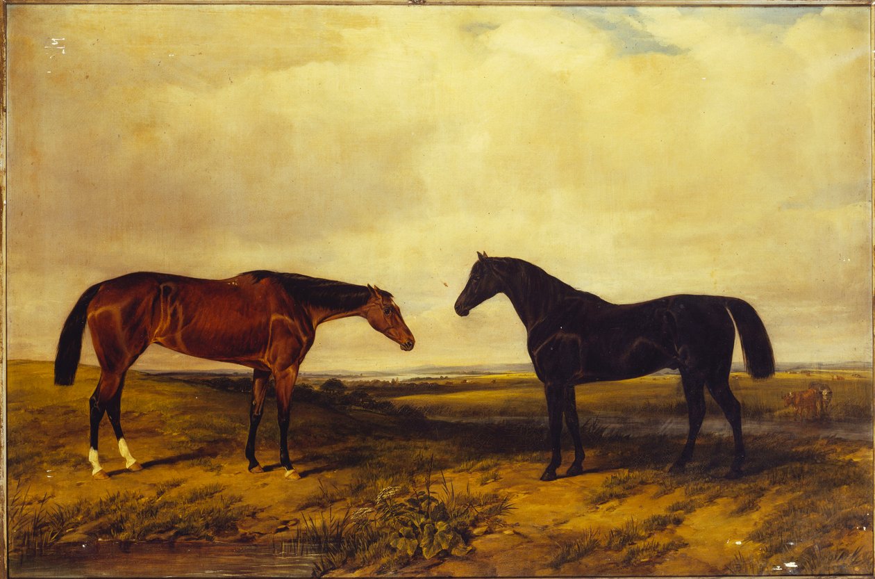 La potra baya brillante y el semental bayo oscuro del Conde de Granard, 1885 de William Snr. Luker