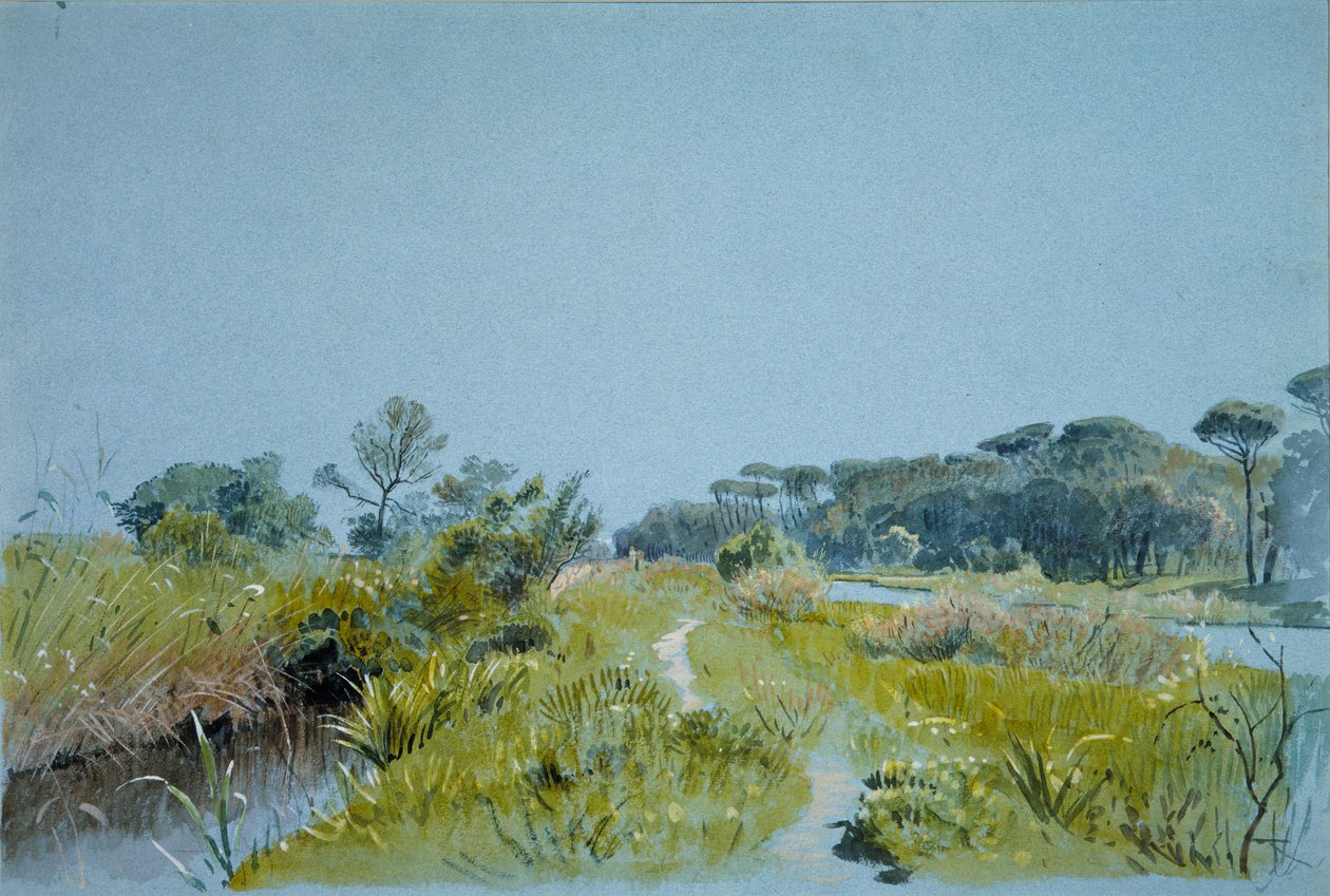 Castel Fusano cerca de Roma de William Stanley Haseltine