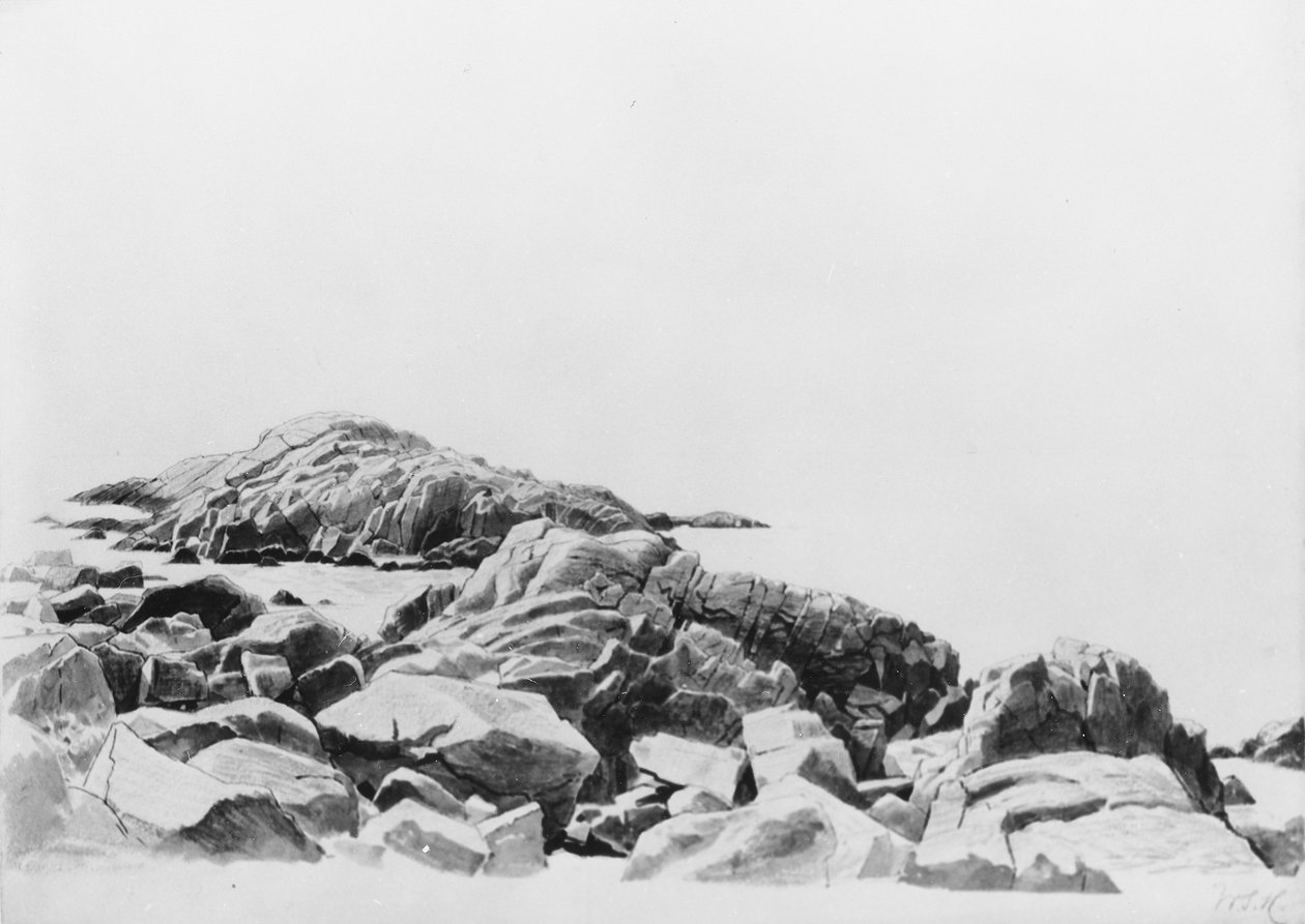 Costa de Nueva Inglaterra de William Stanley Haseltine