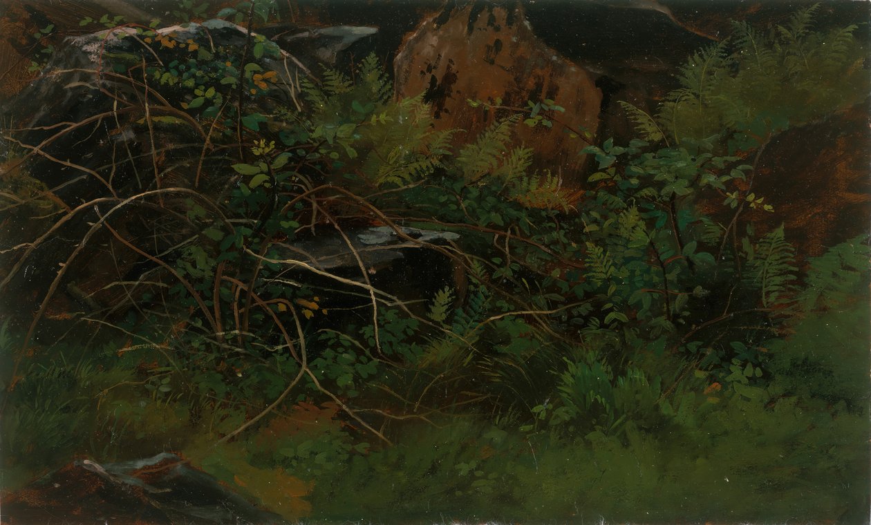 Estudio de la naturaleza de William Stanley Haseltine