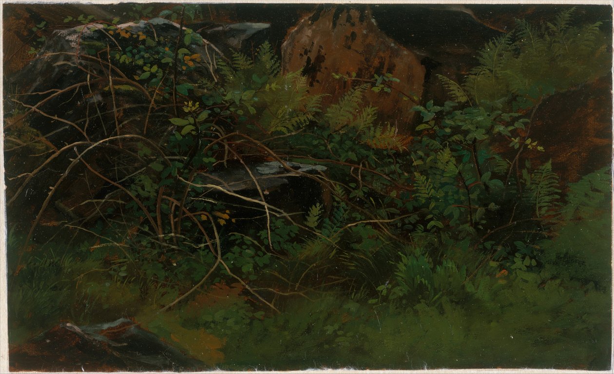 Estudio del natural de William Stanley Haseltine