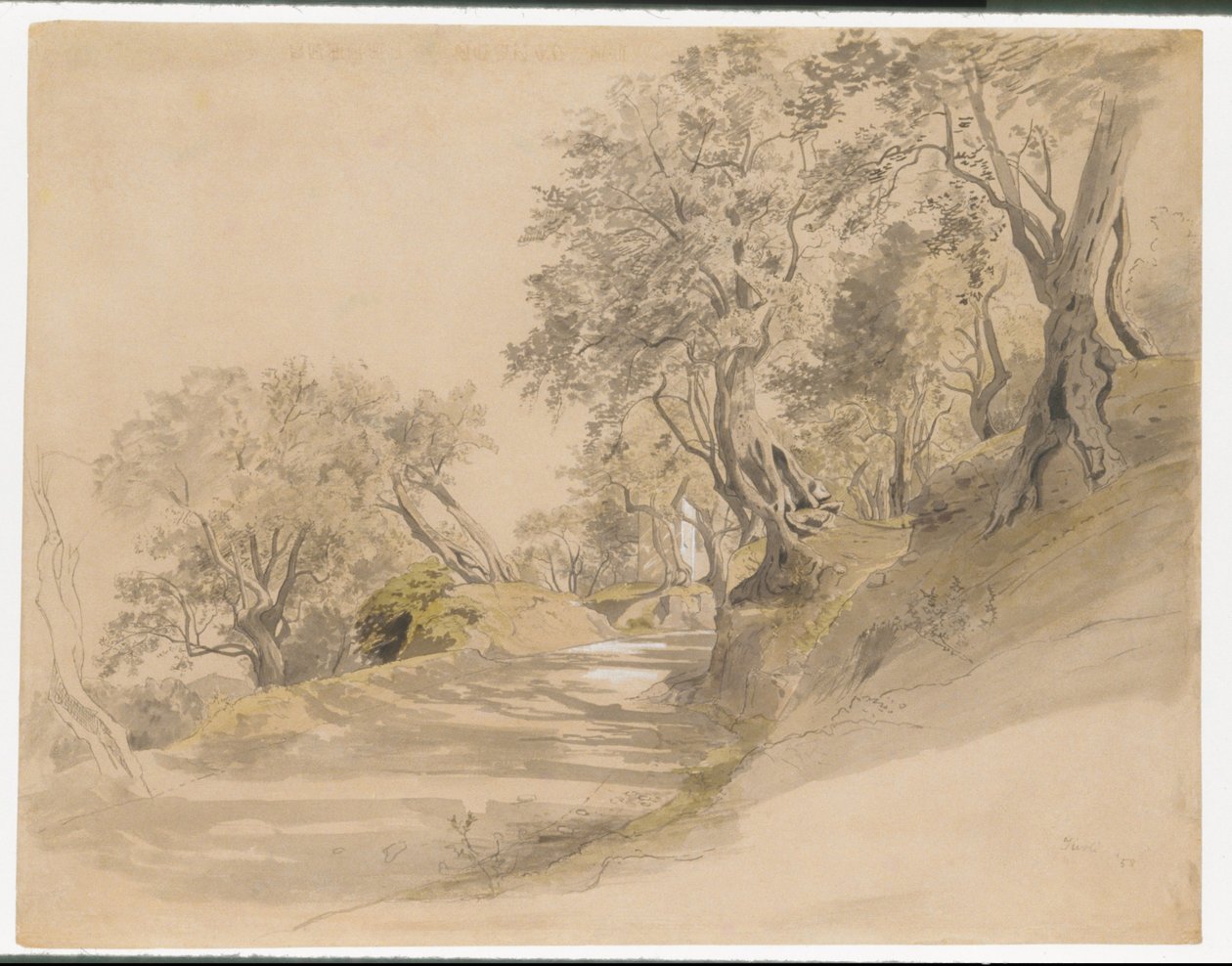 Tívoli de William Stanley Haseltine