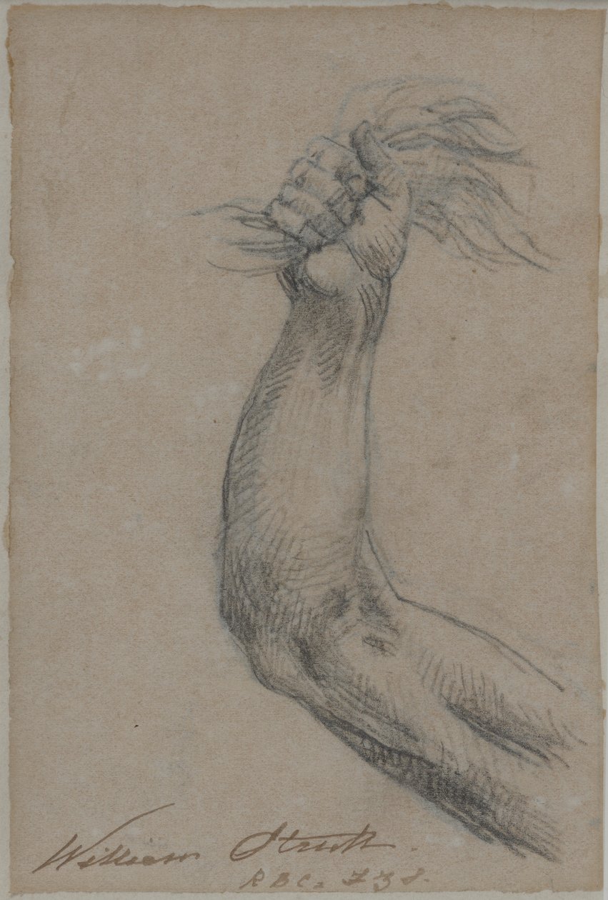 Estudio para una pintura perdida de Hércules de William Strutt