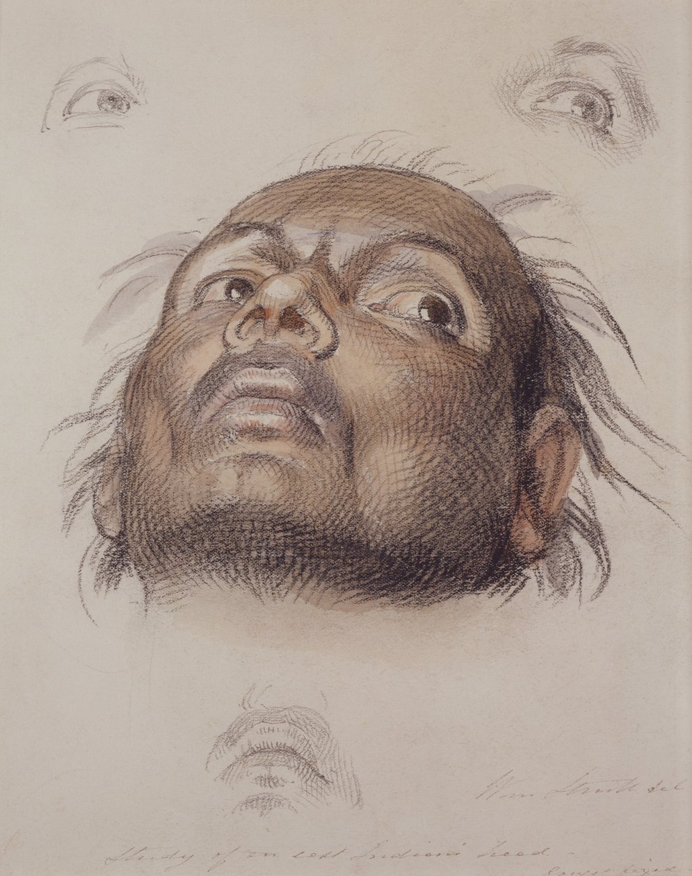 Estudio de la Cabeza de un Indio Oriental, c.1875 de William Strutt