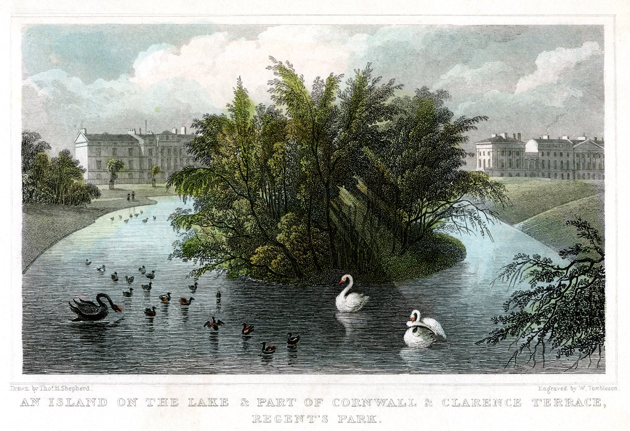 Isla en el lago y Parte de Cornwall y Clarence Terraces, Regents Park, Londres, 1828 de William Tombleson
