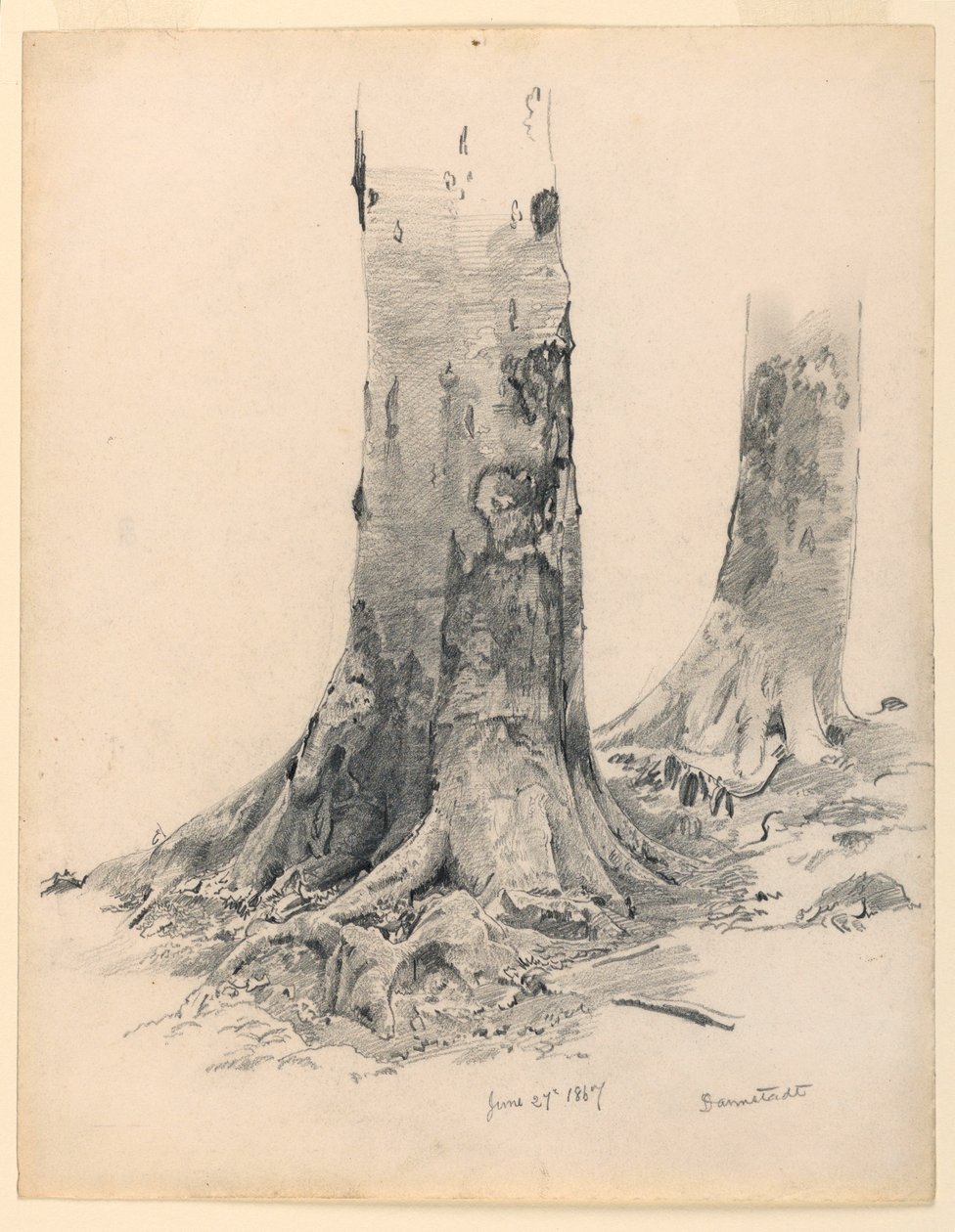 Dibujo, Troncos de árbol, Darmstadt, 27 de junio de 1867 de William Trost Richards
