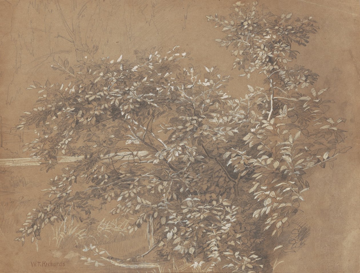 Follaje de William Trost Richards