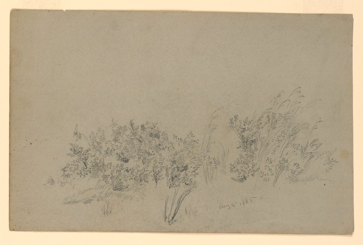 Estudio de follaje de William Trost Richards