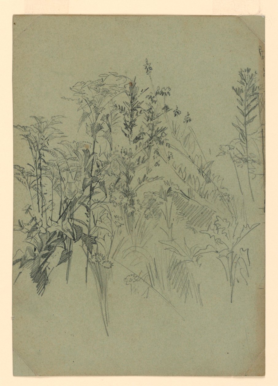 Estudio de follaje de William Trost Richards