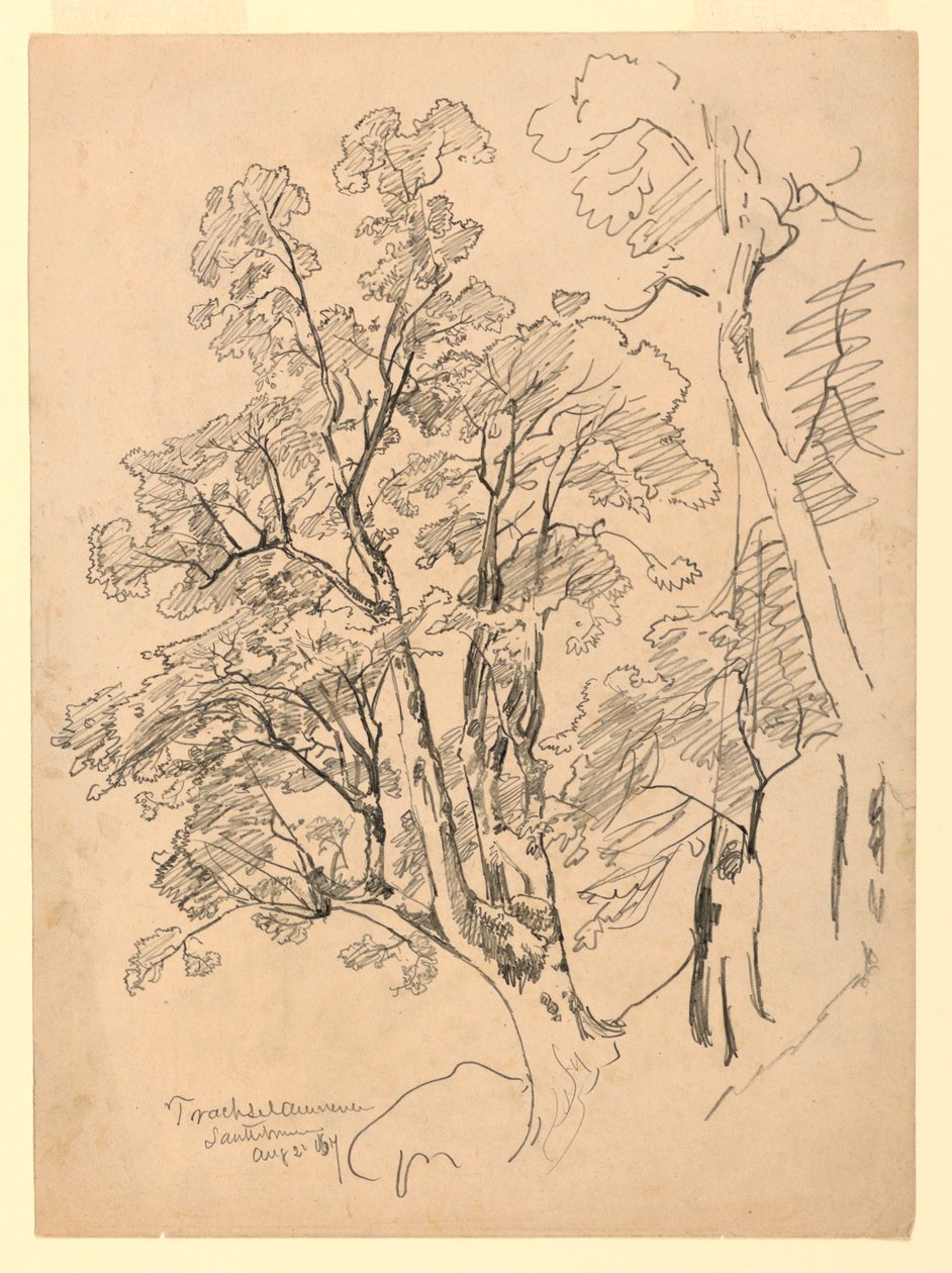 Estudio de follaje, Trachselwald, Berna, Suiza de William Trost Richards