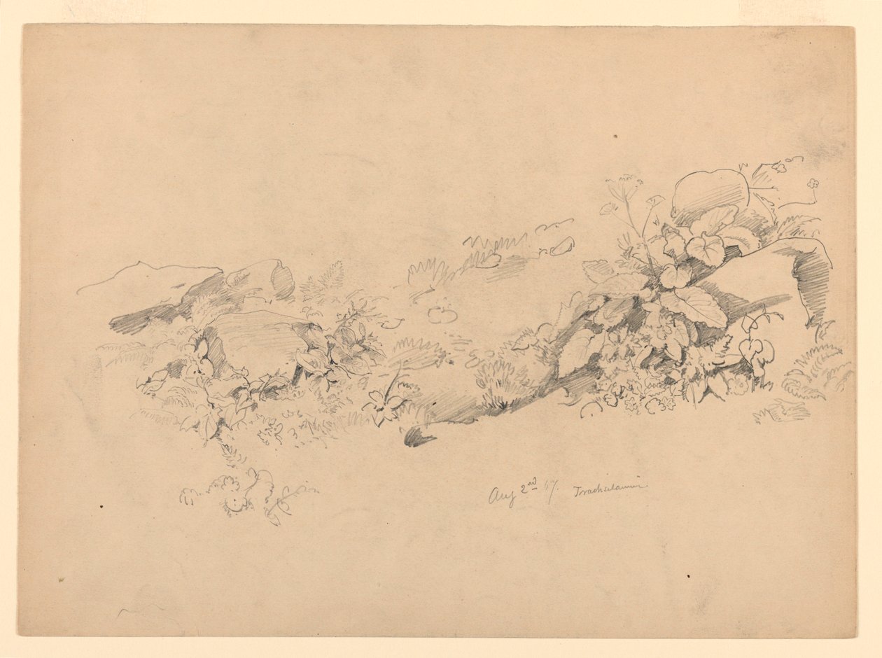 Estudio de follaje, Trachselwald, Berna, Suiza de William Trost Richards