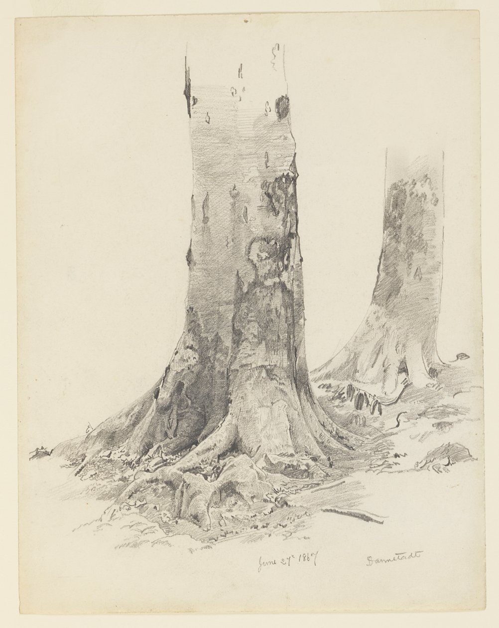 Troncos de Árboles, Darmstadt de William Trost Richards