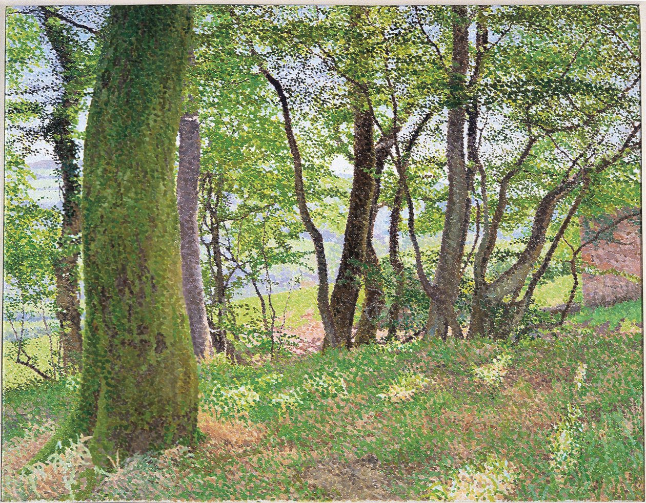 Tarde en Carmarthenshire de William Wilkins