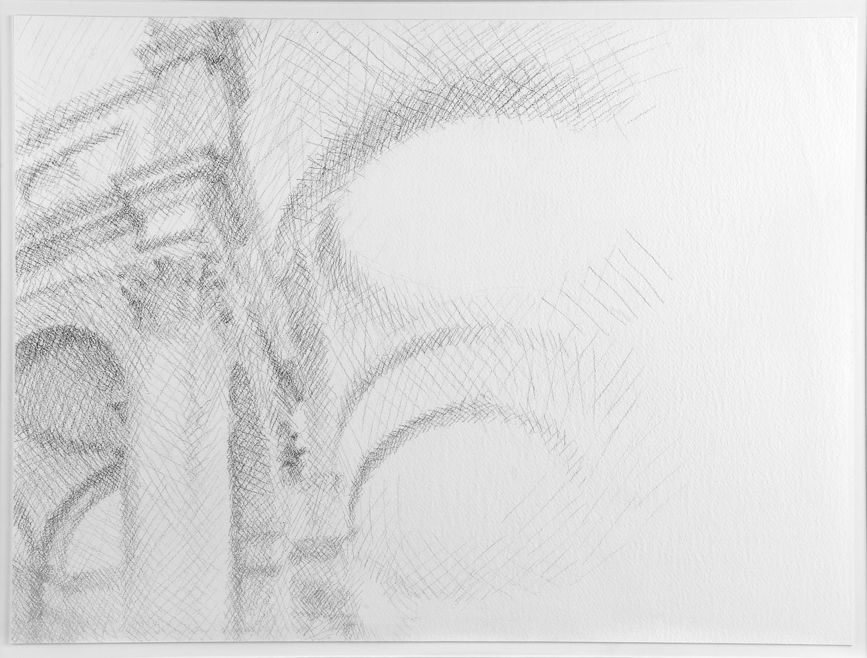 San Salvador, Venecia, 2007 (Lápiz sobre papel) de William Wilkins
