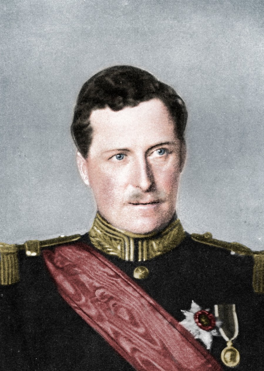 Alberto, Rey de Bélgica, Primera Guerra Mundial, 1914