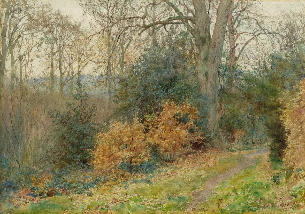 Camino a través del bosque, 1902 de Wilmot Pilsbury