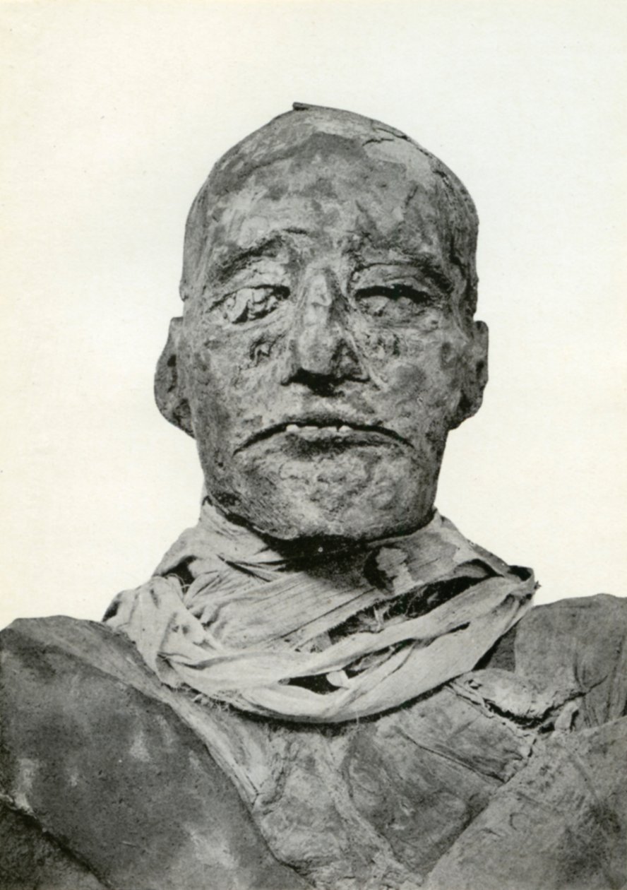 Cabeza de la momia de Ramsés III, faraón egipcio de la 20ª dinastía, c1156 a.C. de Winifred Mabel Brunton
