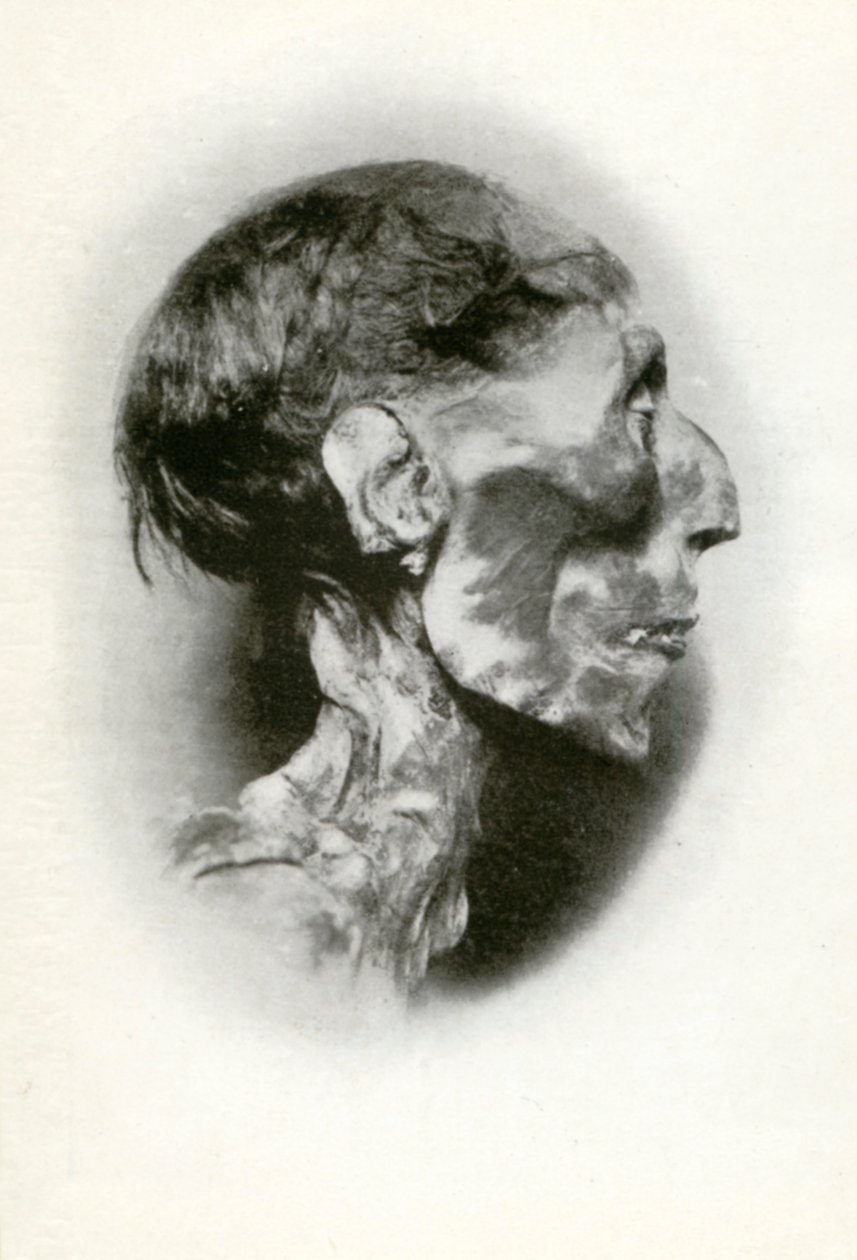 Cabeza de la momia de Ramsés II, faraón del Antiguo Egipto de la dinastía XIX, c. 1212 a.C., 1926 de Winifred Mabel Brunton