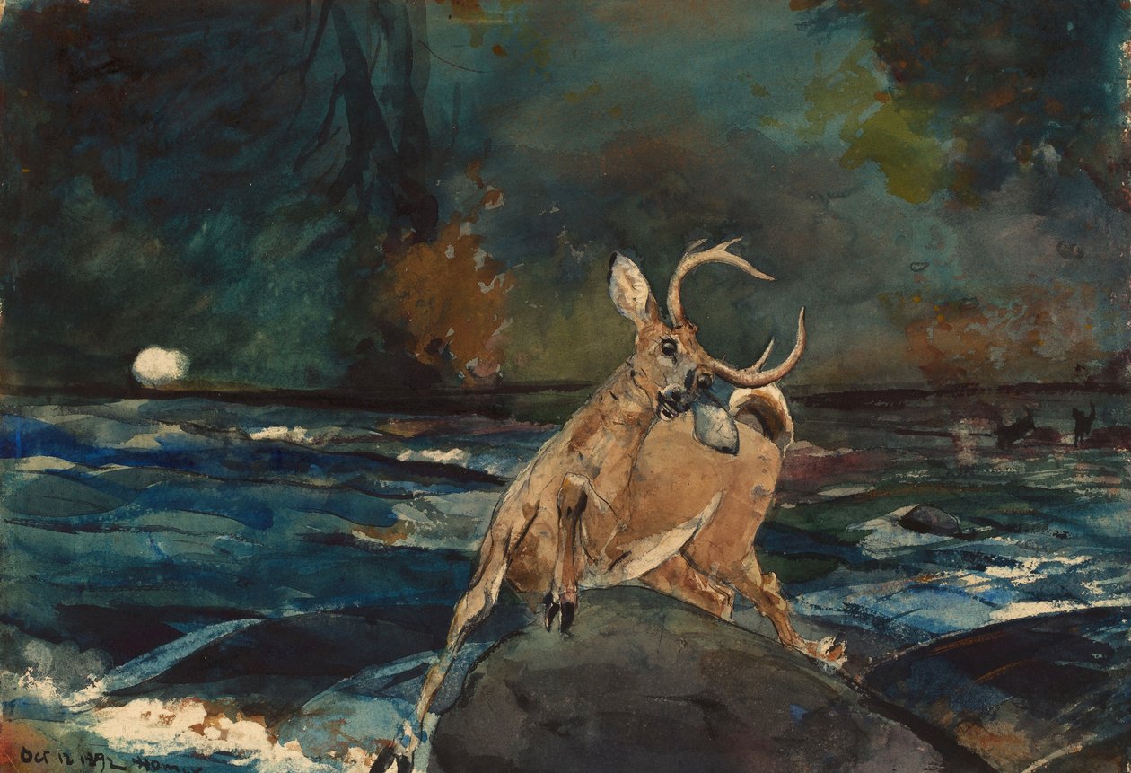 Un buen disparo, Adirondacks de Winslow Homer