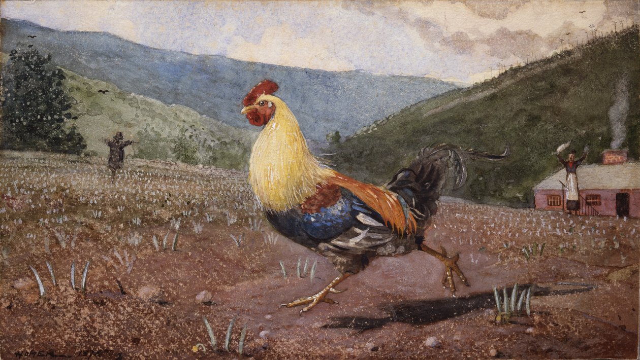 El gallo, 1876 de Winslow Homer