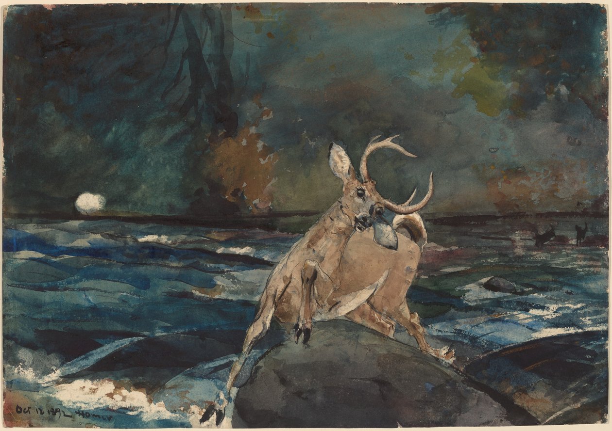 Un Buen Tiro, Adirondacks de Winslow Homer