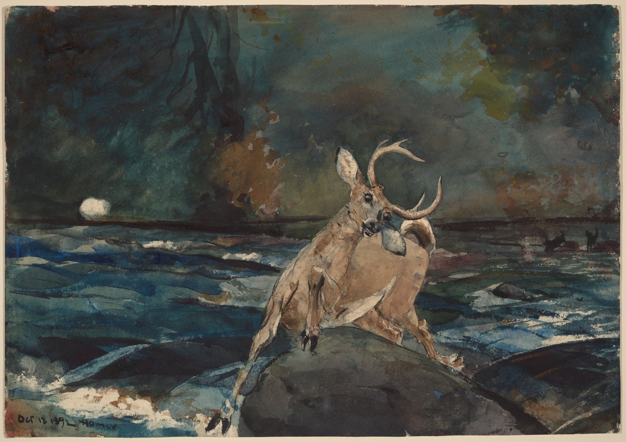 Un buen tiro, Adirondacks de Winslow Homer