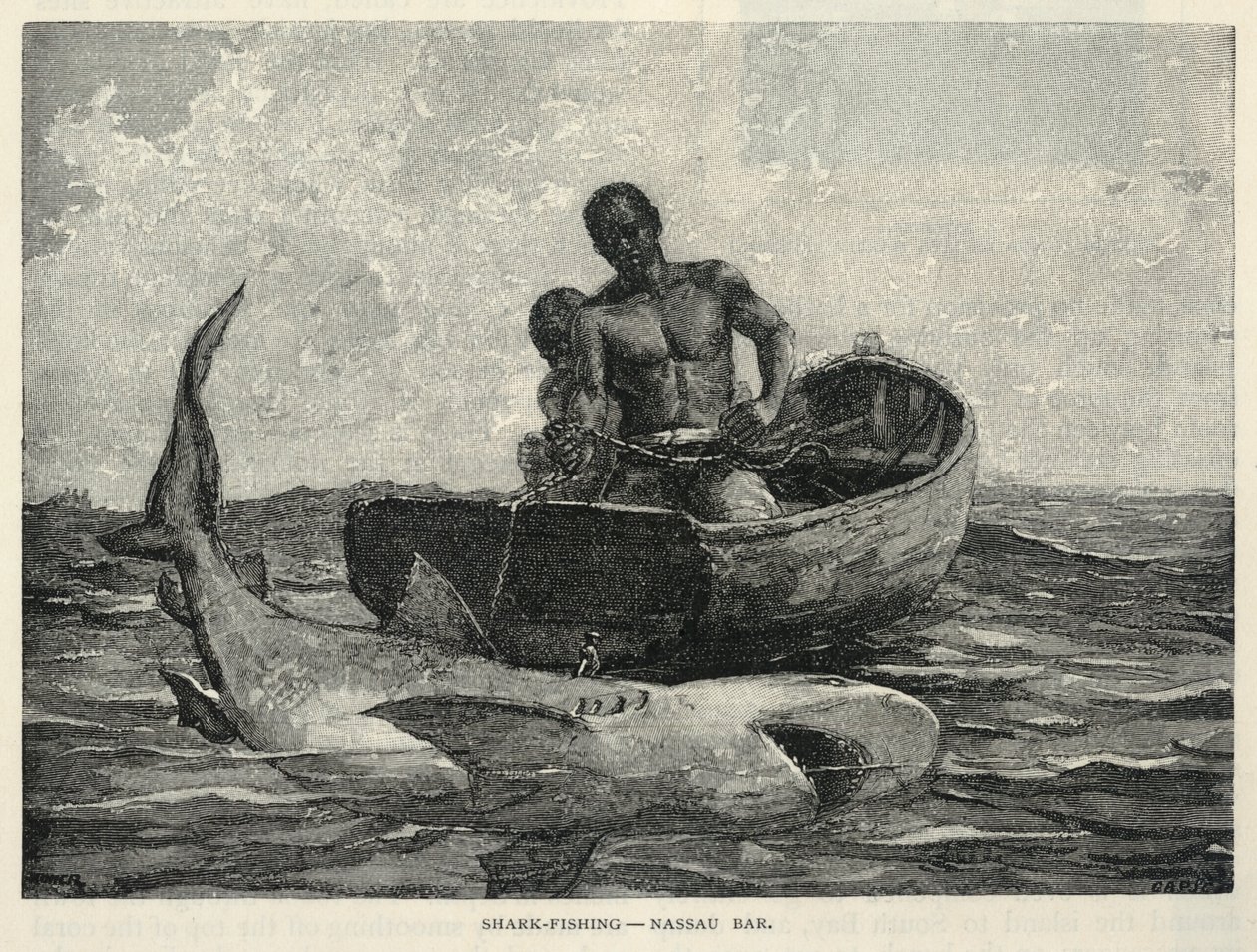 A Peddler, A Nassau Gateway, Shark-Fishing--Nassau Bar, de The Century Magazine, Febrero 1887 de Winslow Homer