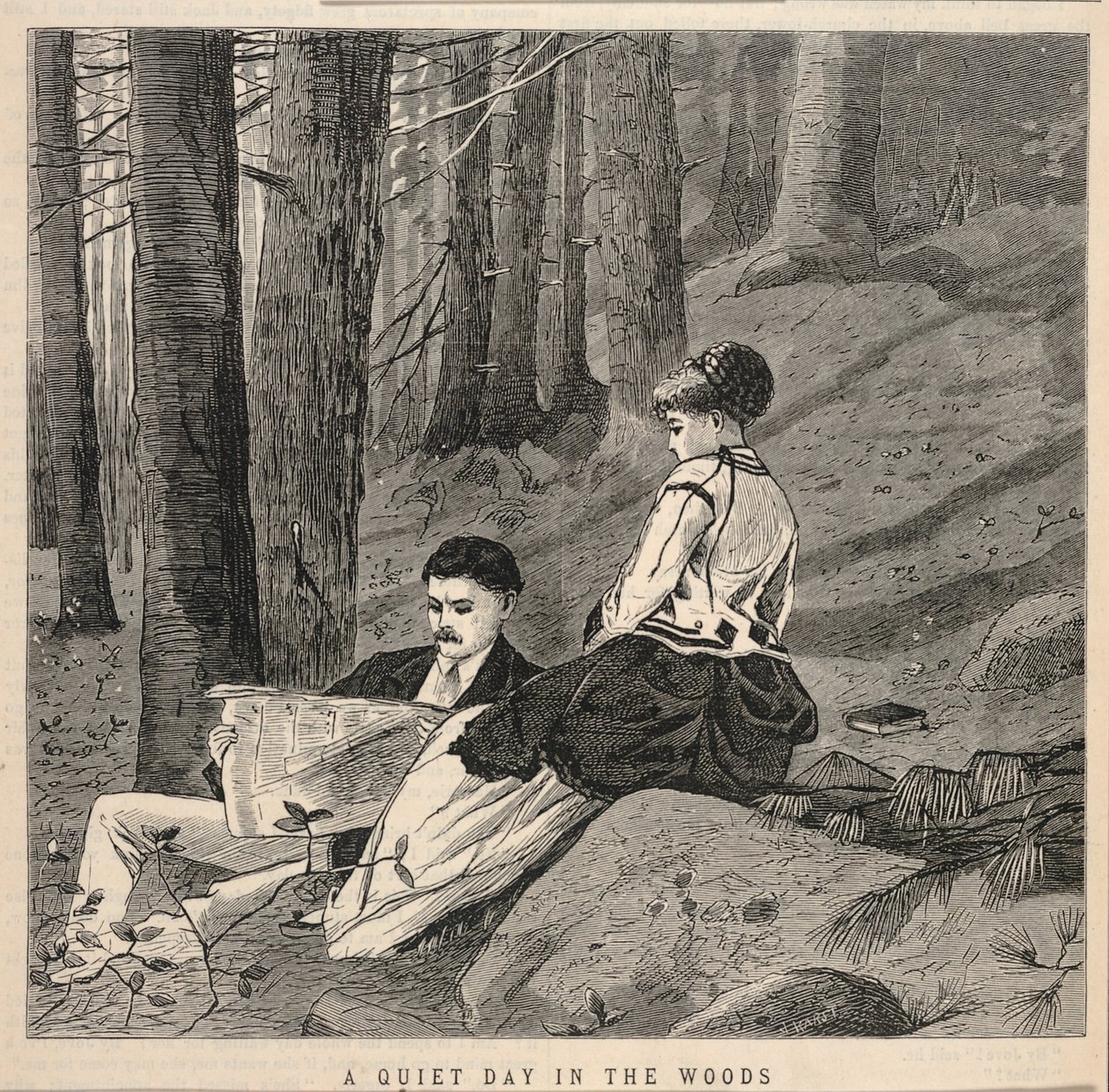 A Quiet Day in the Woods, de Appletons