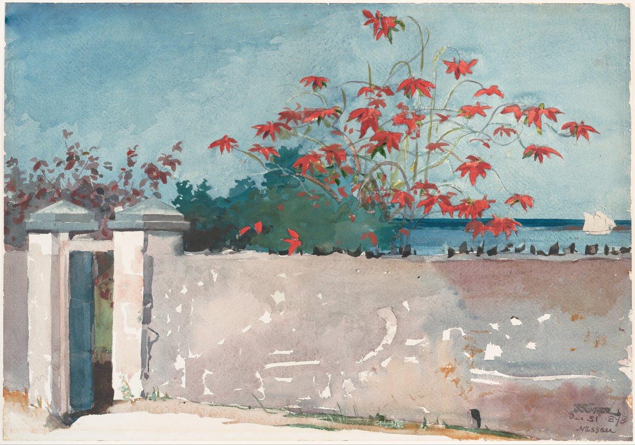 Un muro, Nassau de Winslow Homer