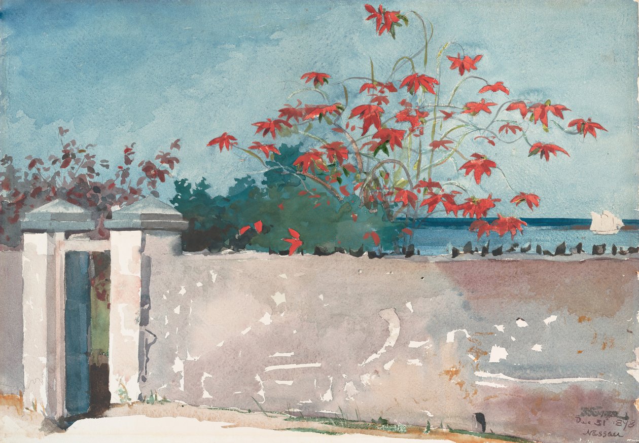 Una pared, Nassau, 1898 de Winslow Homer