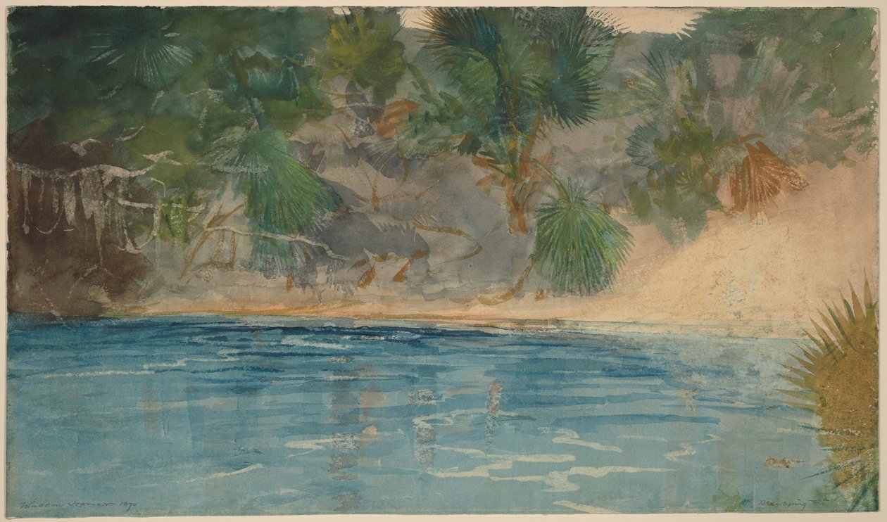 Blue Spring, Florida de Winslow Homer