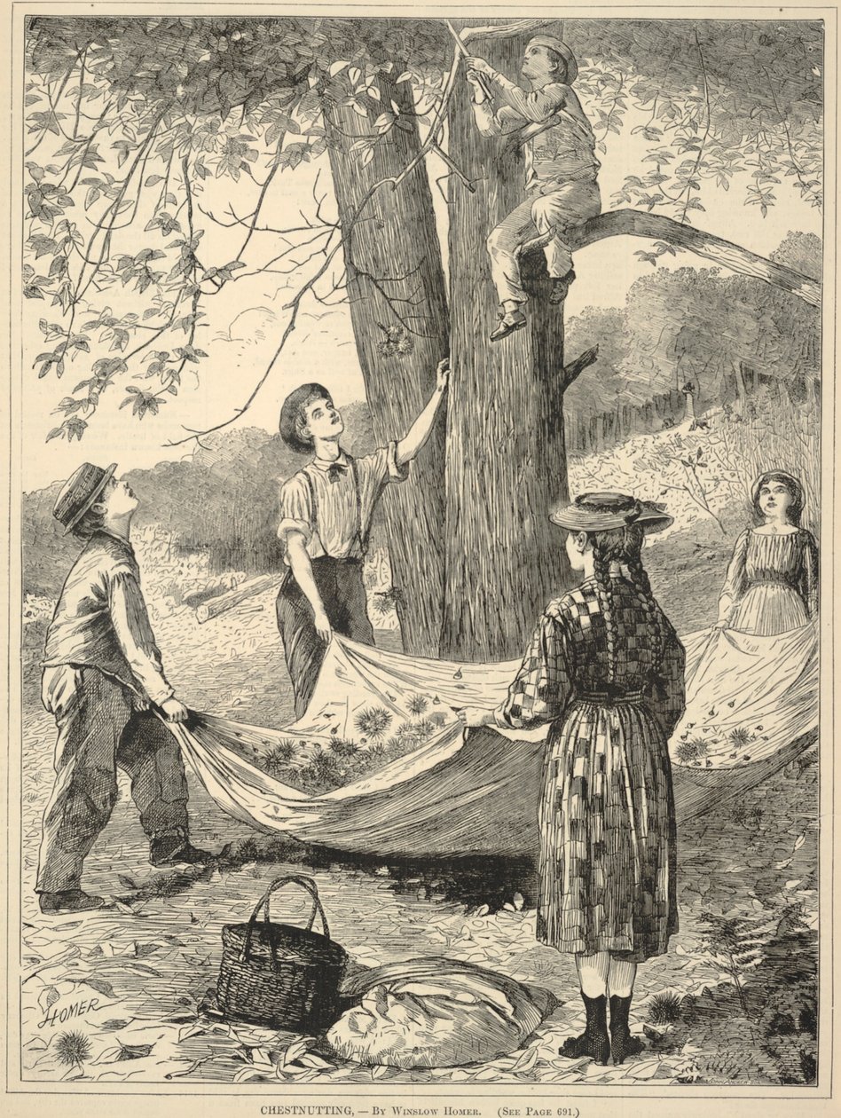 Chestnutting, de Every Saturday: An Illustrated Journal of Choice Reading, 29 de octubre de 1870. de Winslow Homer