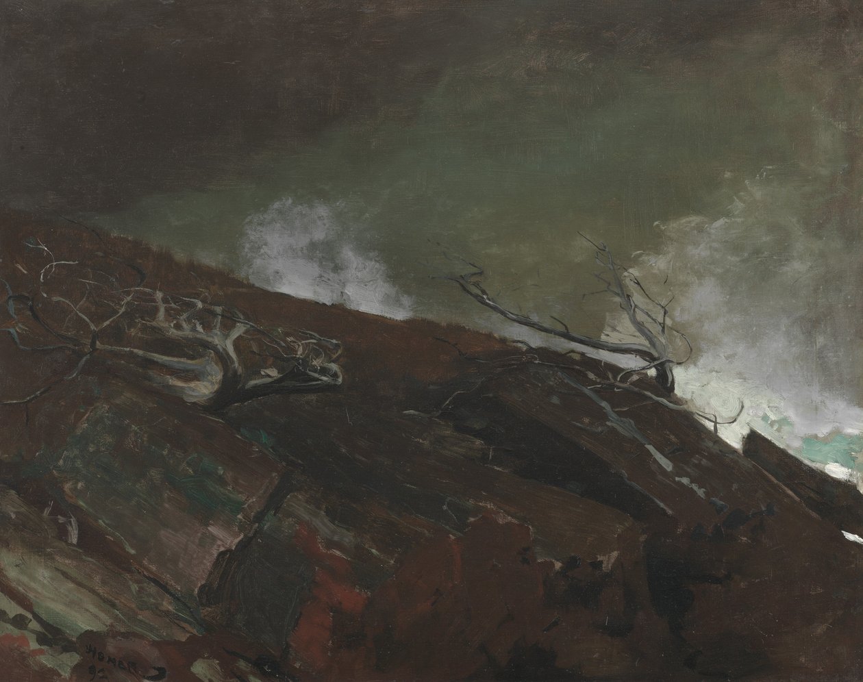 Costa de Maine, 1893 de Winslow Homer