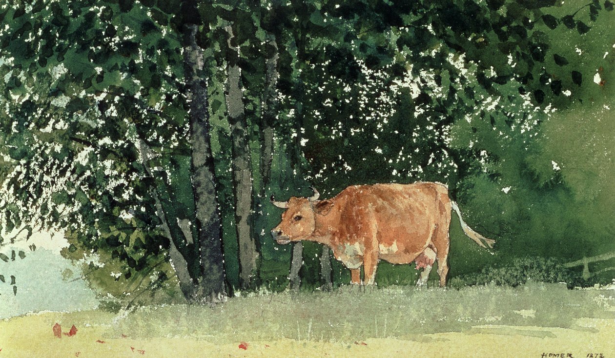 Vaca en el pasto, 1878 de Winslow Homer