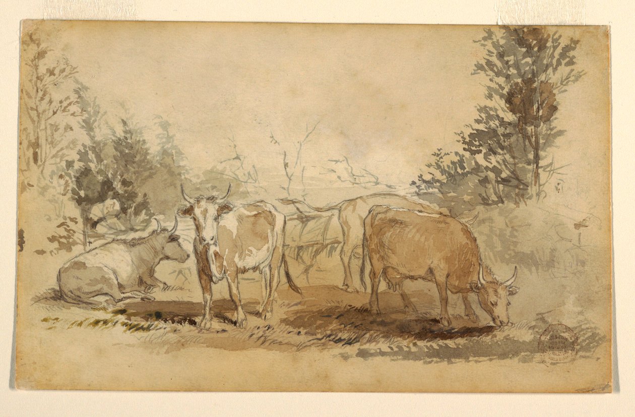 Dibujo, Cuatro vacas pastando en un prado, ca. 1855-60 de Winslow Homer