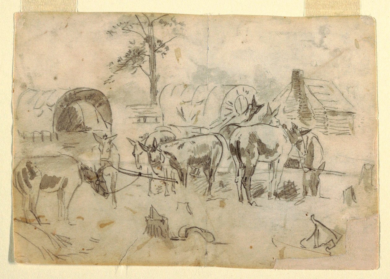 Dibujo, Mulas descansando atadas a los carros, 1862 de Winslow Homer