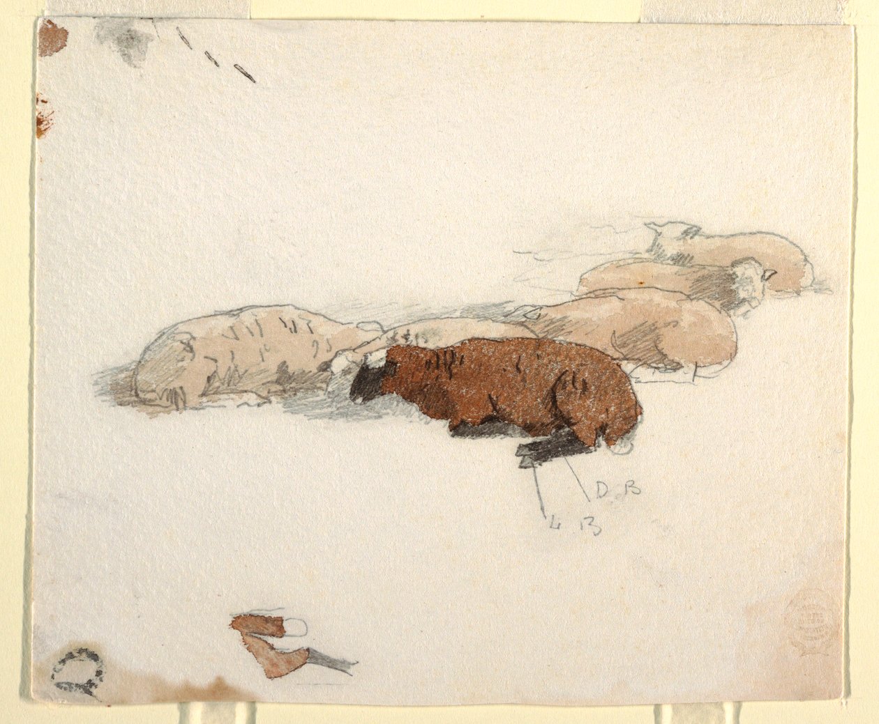Dibujo, Oveja descansando, 1878 de Winslow Homer