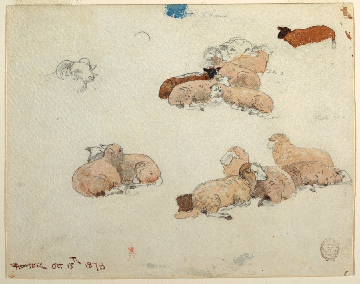 Dibujo, Ovejas descansando, 15 de octubre de 1878 de Winslow Homer