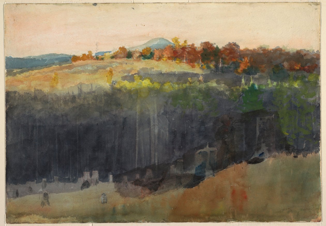 Dibujo, Valle y ladera, Adirondacks, 1889-94 de Winslow Homer