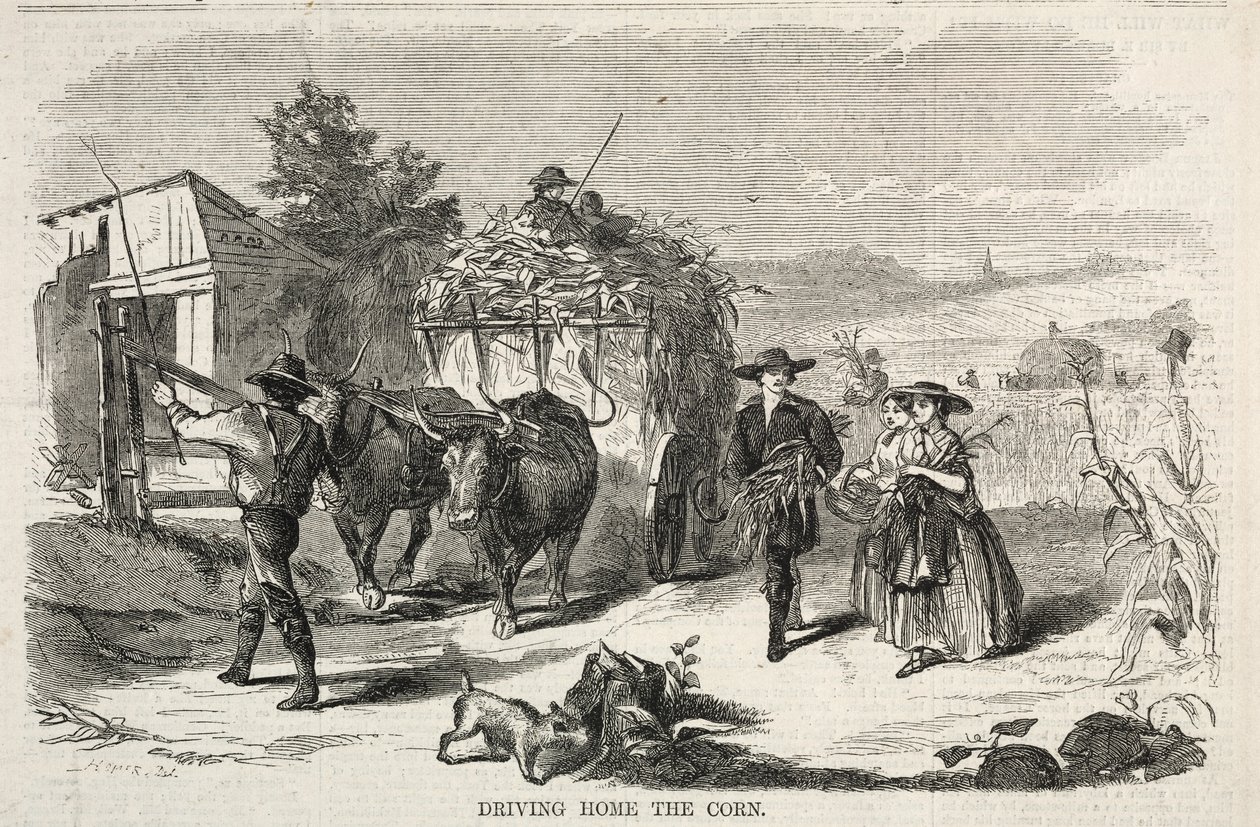 Llevando el maíz a casa, 1858 de Winslow Homer