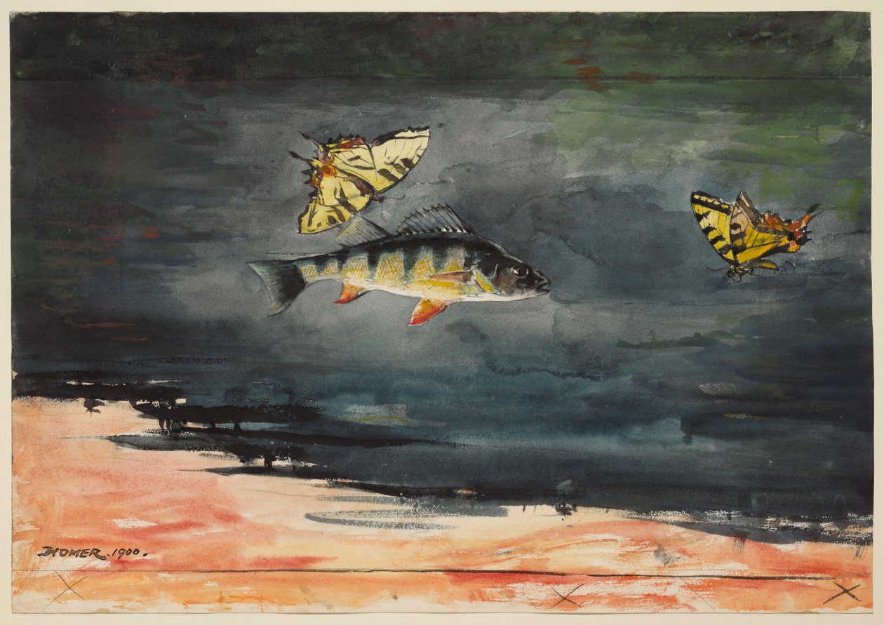 Peces y mariposas de Winslow Homer