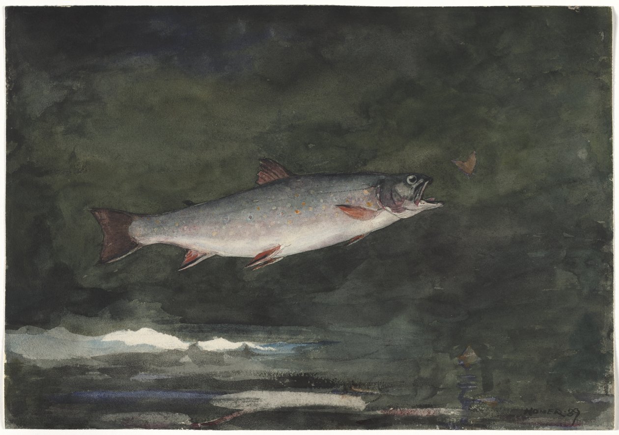 La trucha saltarina de Winslow Homer