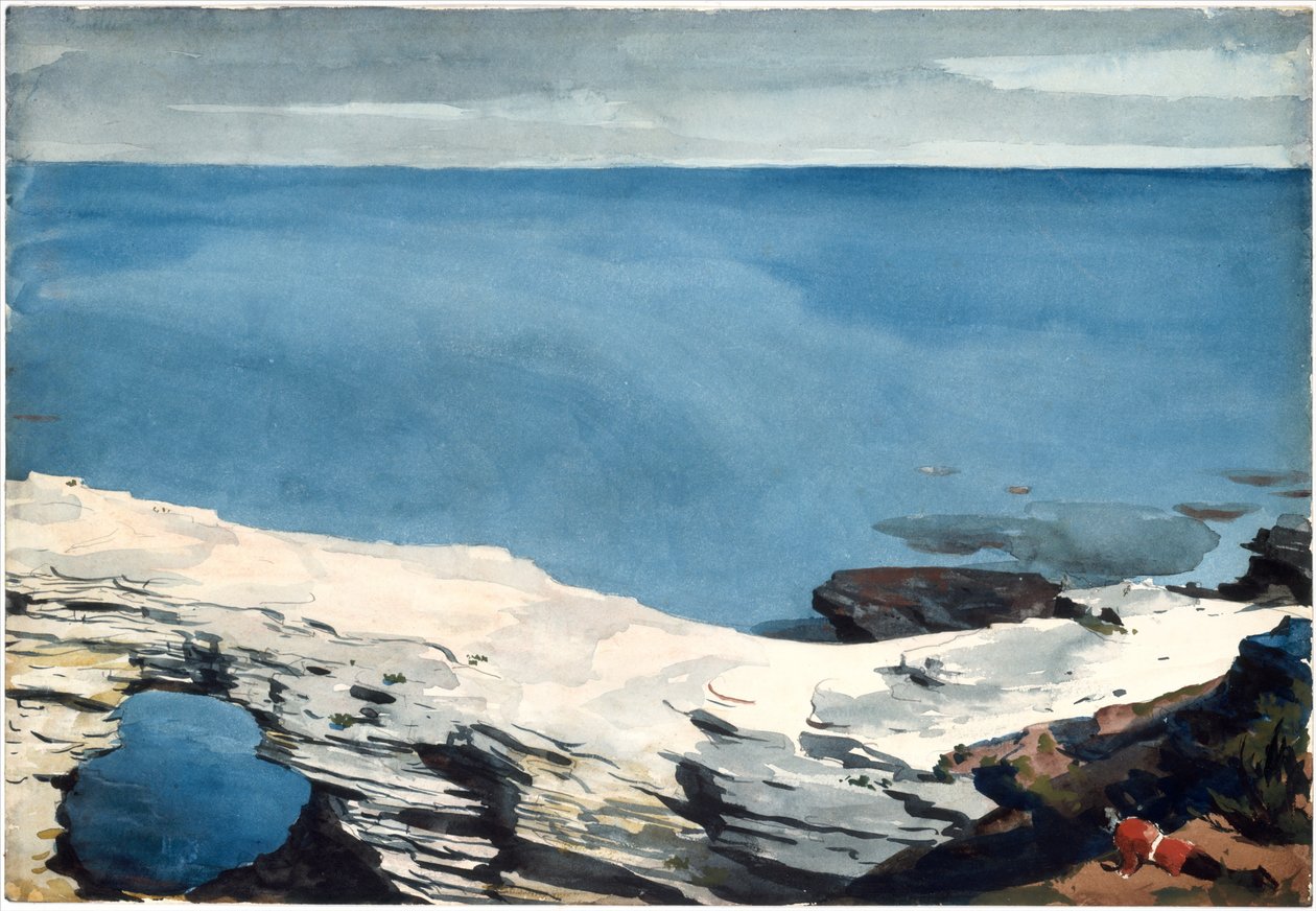  de Winslow Homer