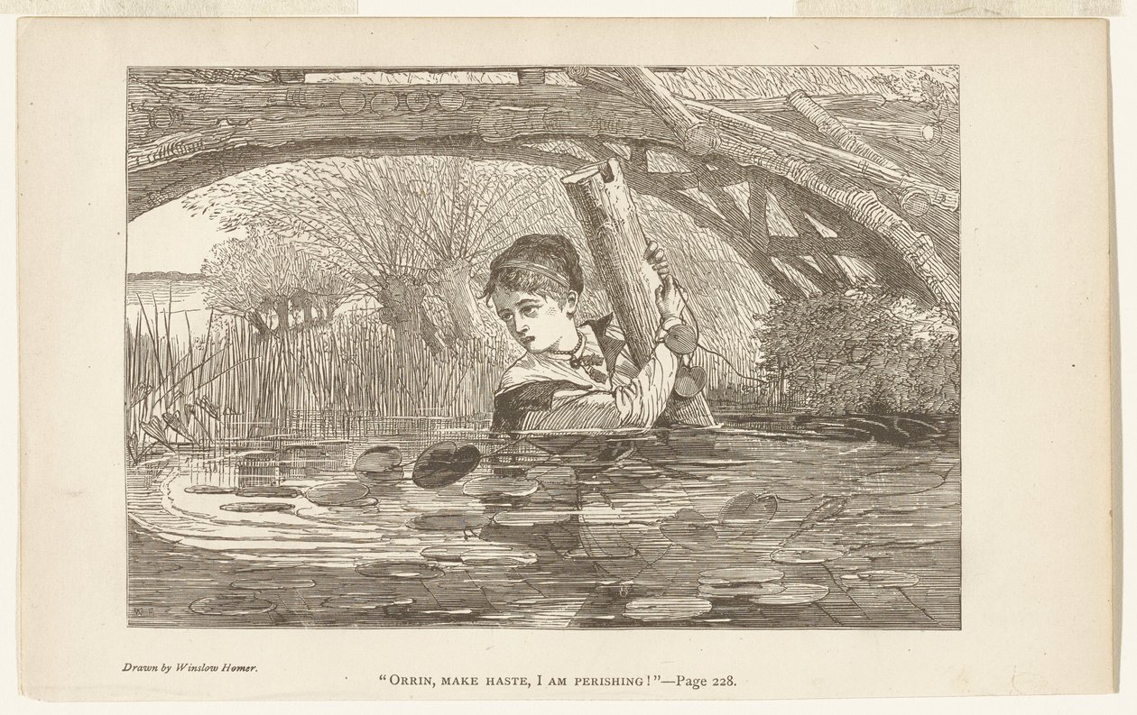 Orrin, date prisa, estoy pereciendo de Winslow Homer